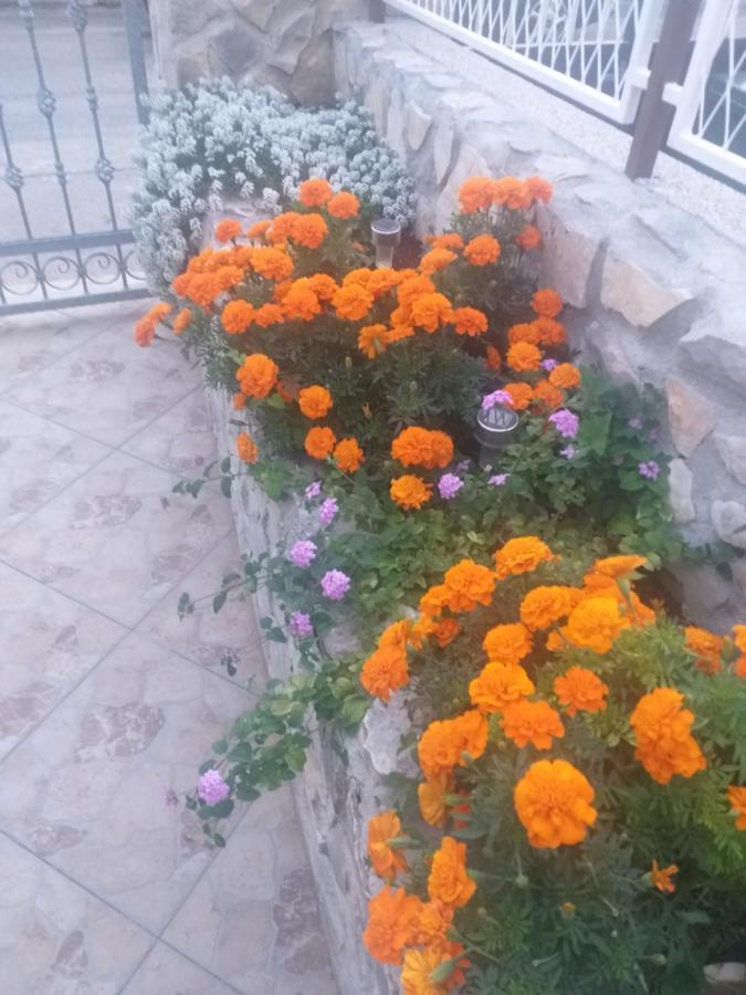 La Vita Šibenik Exterior foto